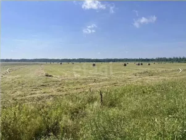 Участок, 25455.5 сот., сельхоз (снт или днп) - Фото 1