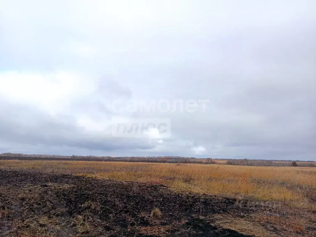 Участок в Воронежская область, Семилукское с/пос, с. Ендовище ул. ... - Фото 1