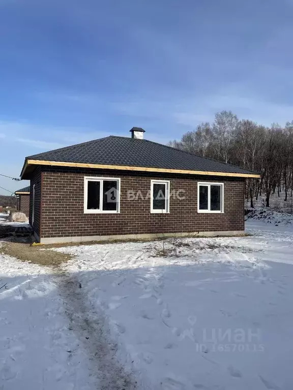 Дом в Амурская область, Благовещенский район, с. Чигири ул. Мира (70 ... - Фото 1