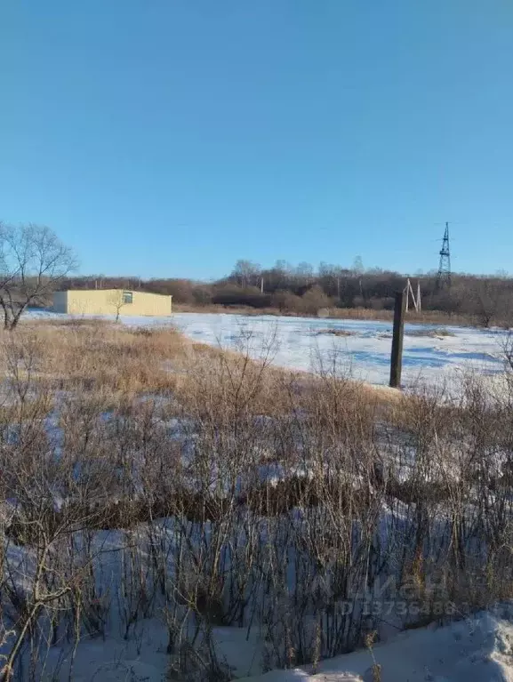 Участок в Амурская область, с. Ивановка ул. Набережная (17.4 сот.) - Фото 0