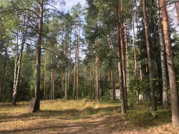 Участок 5,12 га (ИЖС) - Фото 0