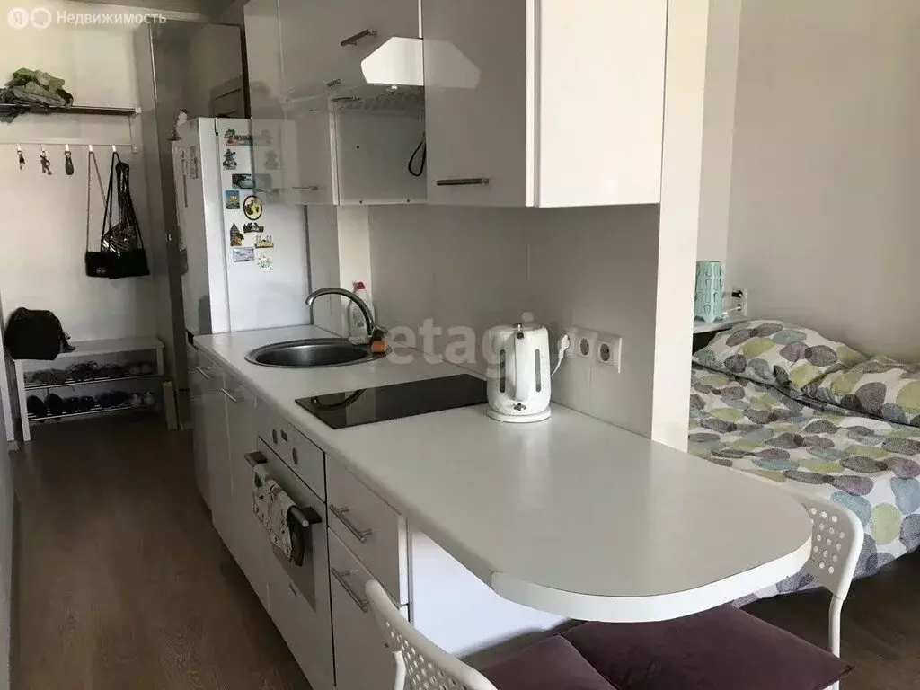 Квартира-студия: Новосибирск, улица Виктора Уса, 15 (27.6 м) - Фото 2