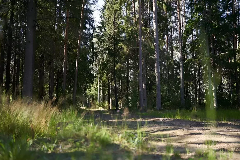 Дом в Ленинградская область, Выборгский район, Рощино пгт  (138 м) - Фото 0