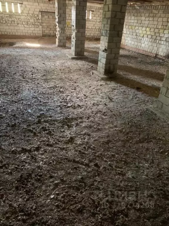 Помещение свободного назначения в Самарская область, Жигулевск ... - Фото 1