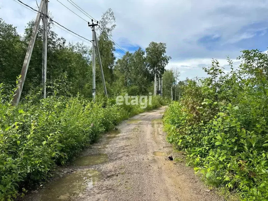 Участок в Ленинградская область, Всеволожский район, Токсовское ... - Фото 0