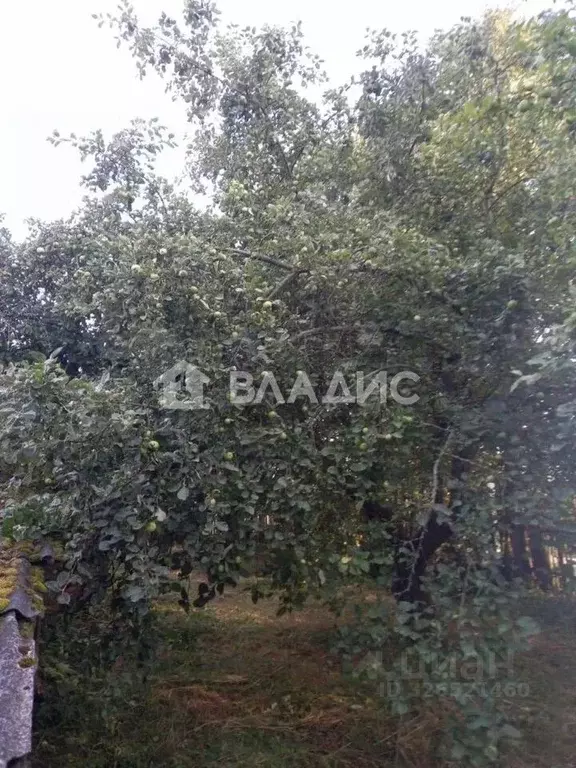 Участок в Московская область, Коломна городской округ, с. Шеметово ул. ... - Фото 2