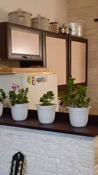 Продаётся квартира-студия, 26.8 м - Фото 1
