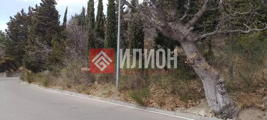 Участок в Крым, Ялта муниципальный округ, Береговое пгт ул. ... - Фото 2
