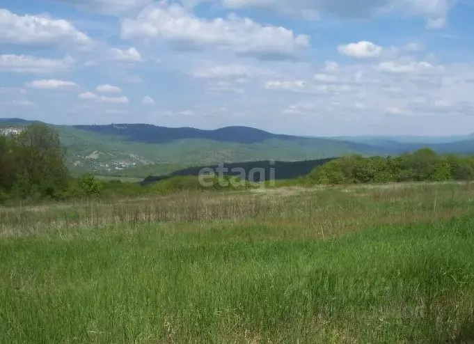 Купить Большой Участок В Крыму