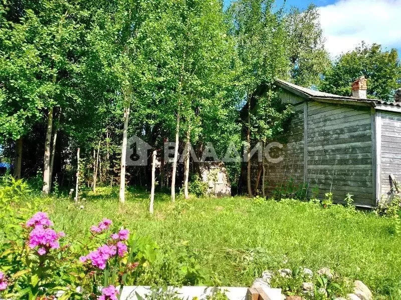 Участок в Карелия, Олонецкий район, Коткозерское с/пос, пос. ... - Фото 2