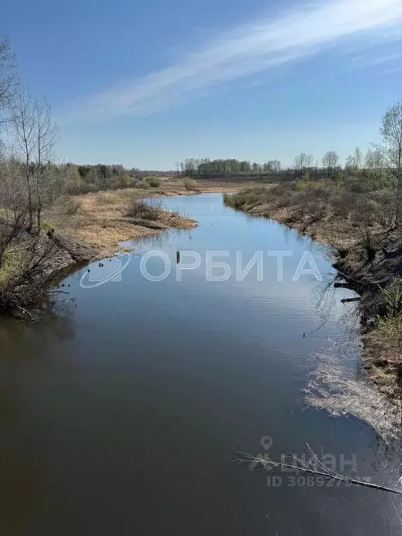 Участок в Тюменская область, Тюменский район, с. Салаирка  (1211.03 ... - Фото 0