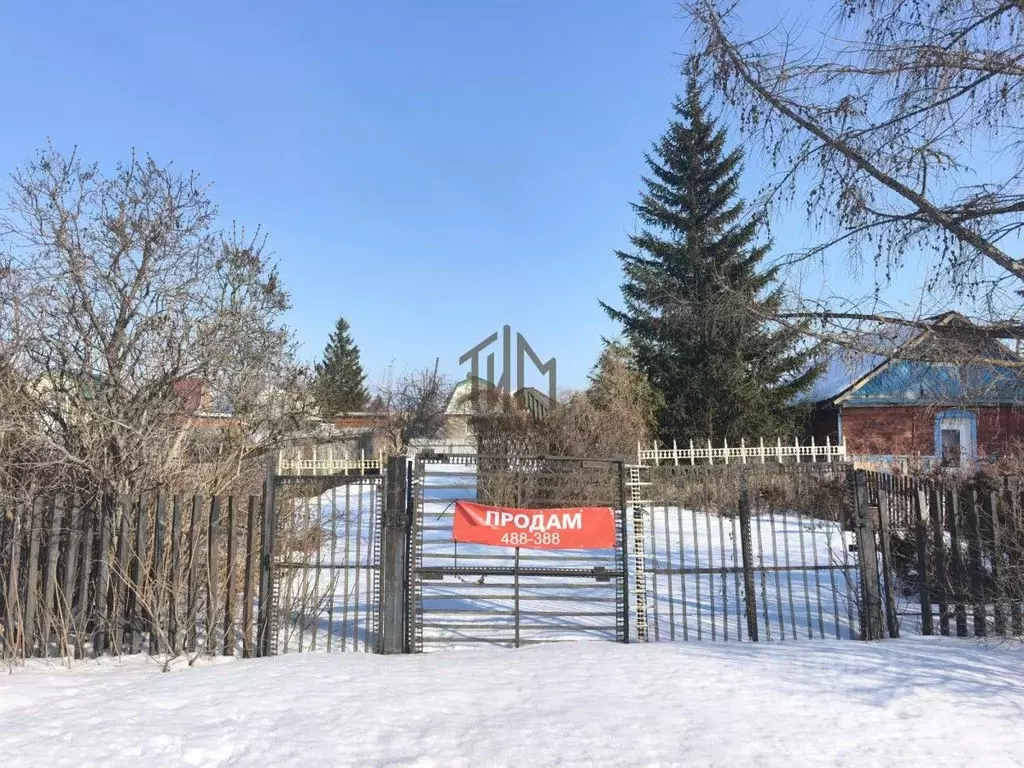 Участок в Омская область, Омск Лотос СНТ, аллея 1-я (4.34 сот.) - Фото 1