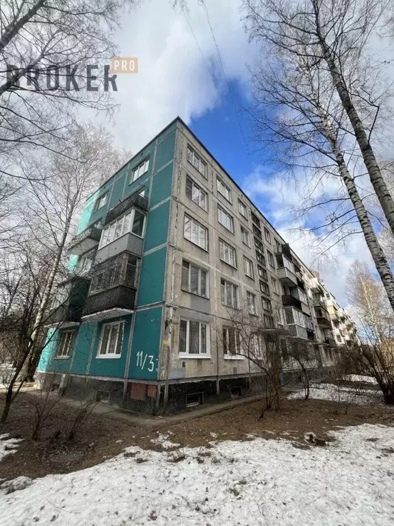 1-к кв. Санкт-Петербург ул. Вавиловых, 11К3 (31.5 м) - Фото 0