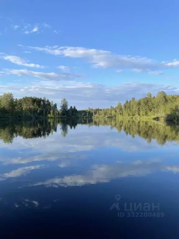 Участок в Ленинградская область, Всеволожский район, Куйвозовское ... - Фото 2