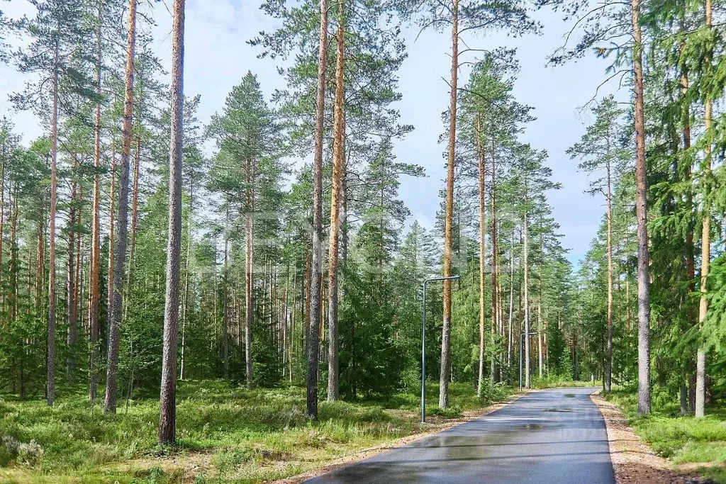 Участок в Ленинградская область, Выборгский район, Первомайское с/пос, ... - Фото 2