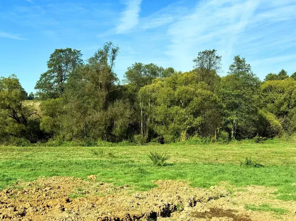 Участок в Московская область, Домодедово городской округ, пос. ... - Фото 1