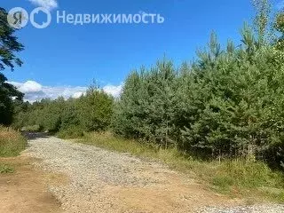 Участок в Костромской район, Минское сельское поселение (13.39 м) - Фото 2