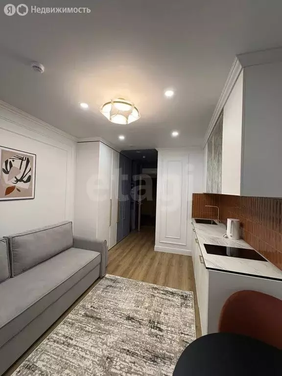 Квартира-студия: Санкт-Петербург, Измайловский бульвар, 1к2 (20 м) - Фото 2