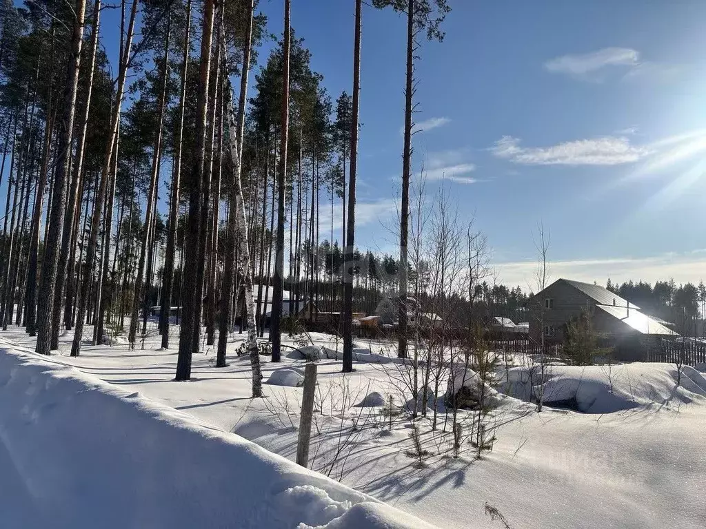 Участок в Коми, Сыктывкар городской округ, Краснозатонский пгт ул. ... - Фото 0