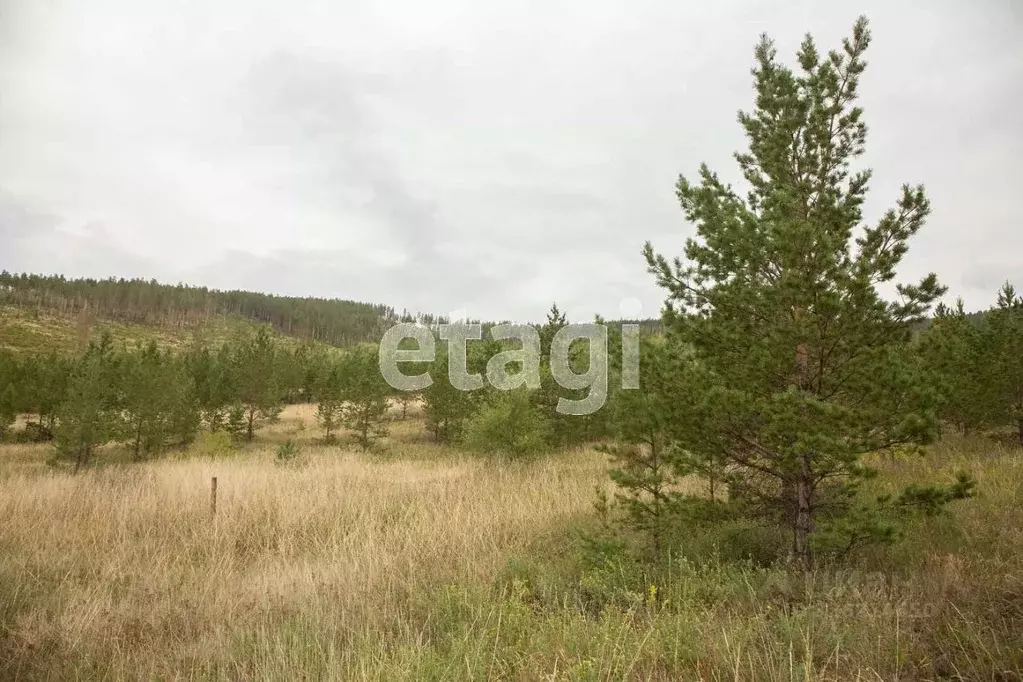 Участок в Бурятия, Иволгинский район, Сотниковское с/пос, с. ... - Фото 1