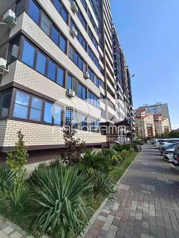 Студия Краснодарский край, Анапа Владимирская ул., 142 (27.0 м) - Фото 1