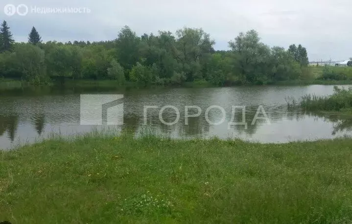 Участок в Калманский район, село Зимари (9.32 м) - Фото 0
