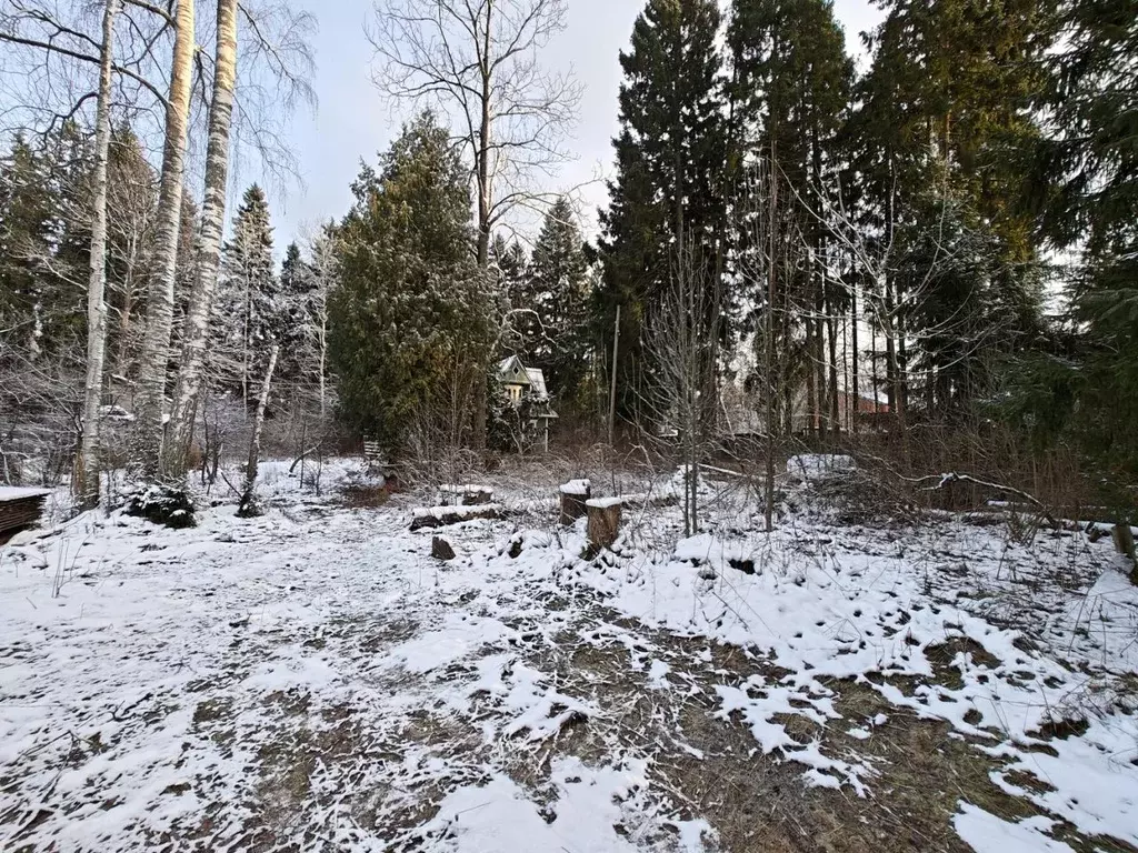 Участок в Московская область, Химки Фирсановка мкр, Парковая ул. (10.0 ... - Фото 0