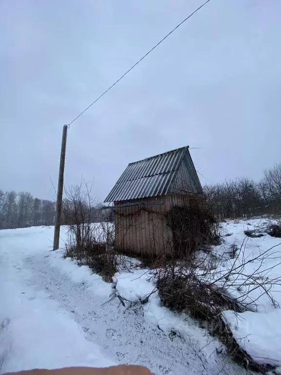 Дом в Брянская область, Брянский район, Снежское с/пос, с. Толмачево, ... - Фото 0