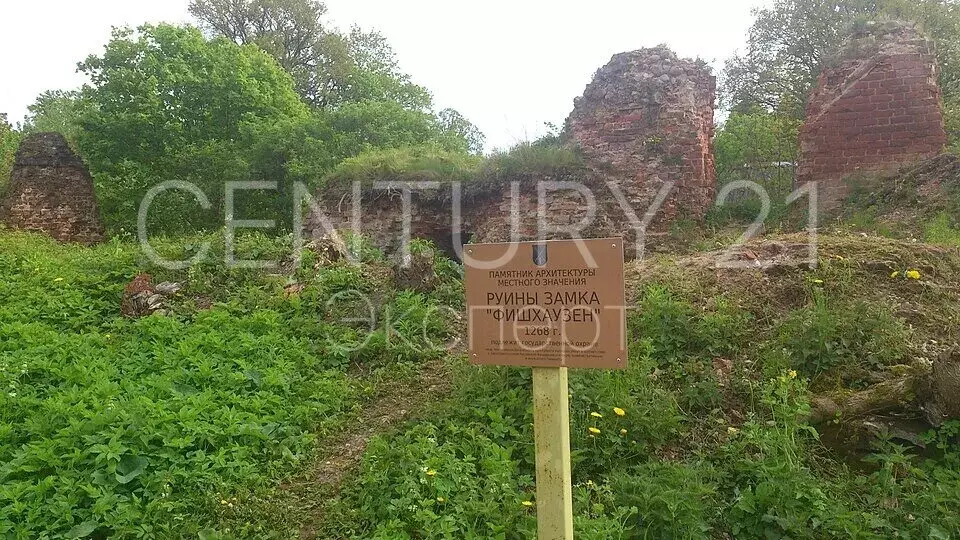 Участок в Калининградская область, Приморск (8.36 м) - Фото 2