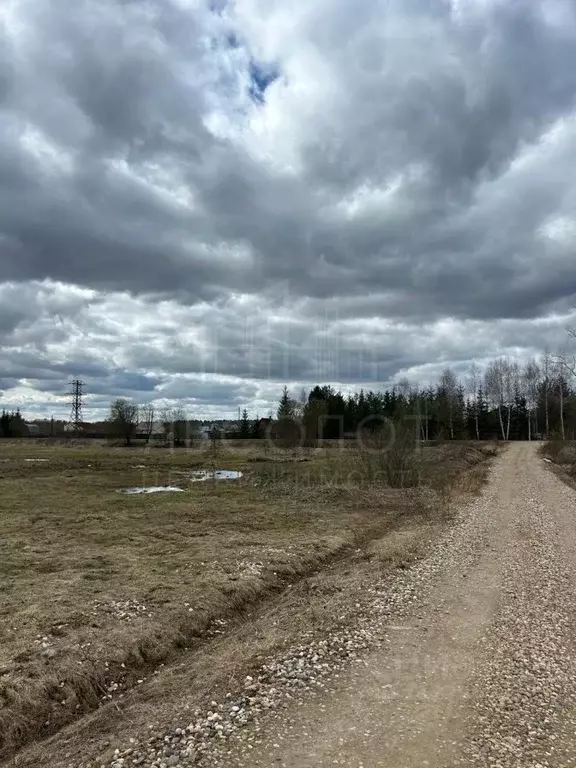 Участок в Владимирская область, Александровский район, Следневское ... - Фото 1