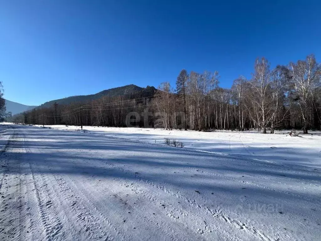 Участок в Алтай, Усть-Коксинский район, с. Мульта Центральная ул. ... - Фото 1
