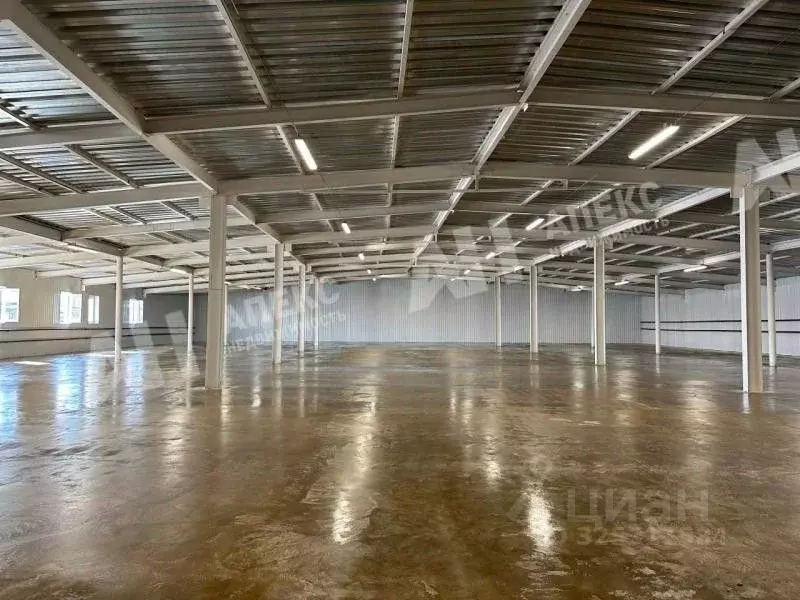 Склад в Московская область, Мытищи городской округ, д. Грибки ш. ... - Фото 1