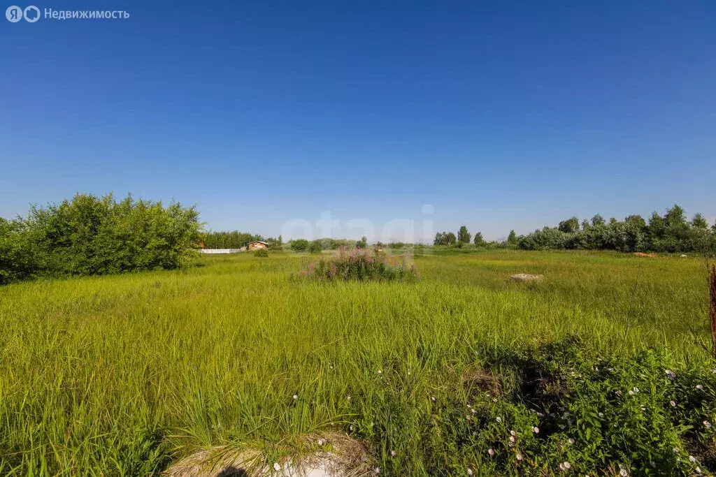 Участок в Тюмень, садовое товарищество Рябинка-2, 3-я линия (8.8 м) - Фото 2