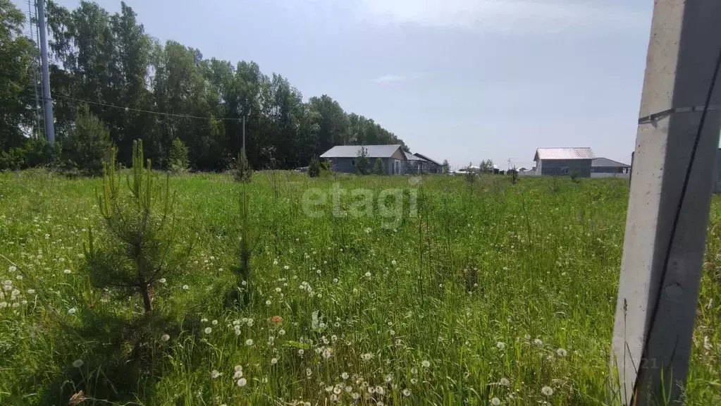 Участок в Свердловская область, Полевской муниципальный округ, с. ... - Фото 0