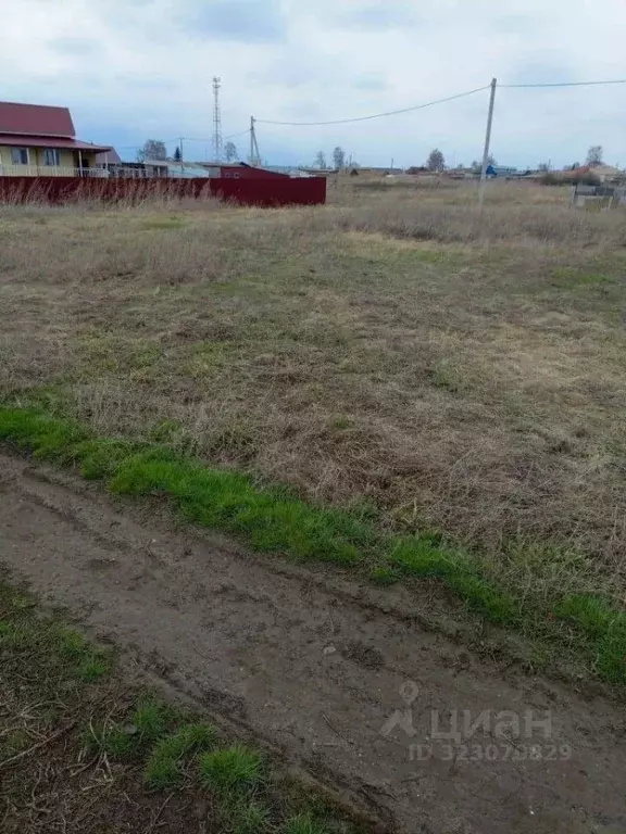 Участок в Ульяновская область, Майнский район, Тагайское с/пос, с. ... - Фото 2