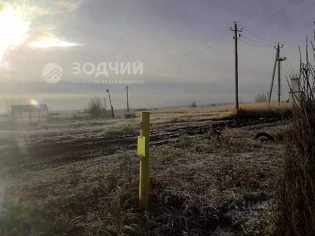 Участок в Чувашия, Чебоксарский муниципальный округ, с. Абашево  (21.0 ... - Фото 2