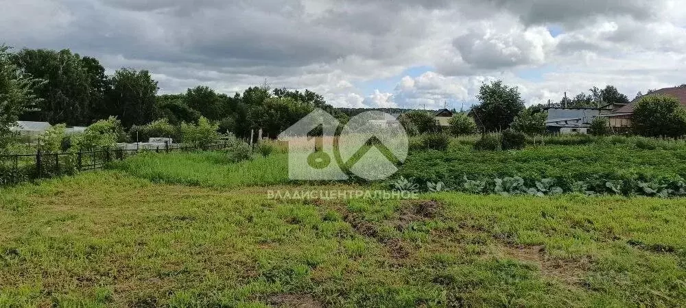 Участок в Новосибирская область, Новосибирский район, с. Барышево ул. ... - Фото 2