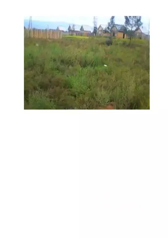 Участок в Бурятия, Заиграевский район, Талецкое с/пос, Солнечный СНТ  ... - Фото 1