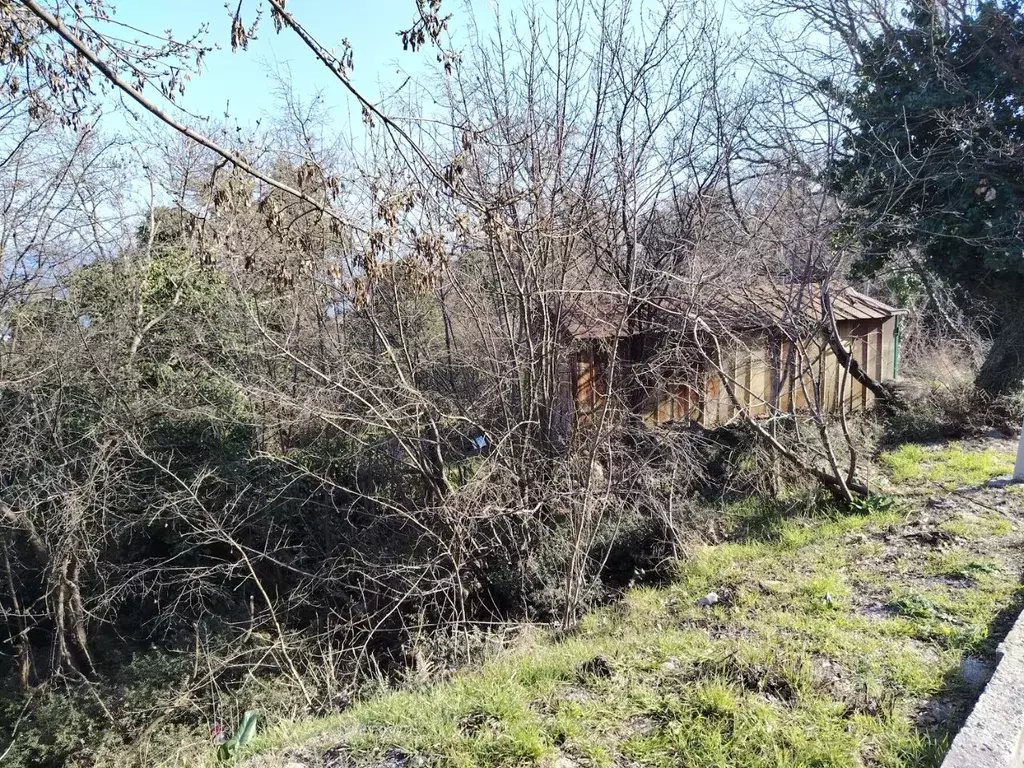 Участок в Крым, Ялта муниципальный округ, Ливадия пгт пер. ... - Фото 2