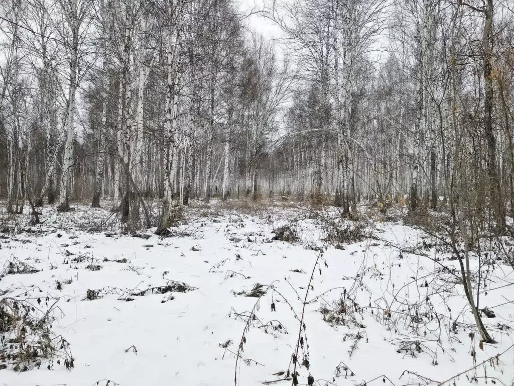 Участок 7,2 сот. (СНТ, ДНП) - Фото 1
