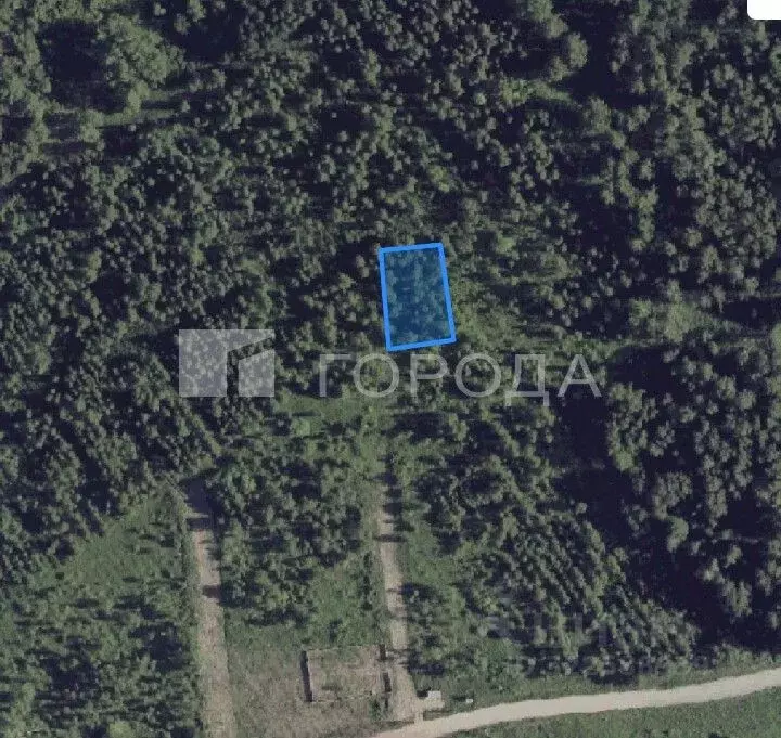 Участок в Новосибирская область, Новосибирск Облепиха СНТ, ул. ... - Фото 1