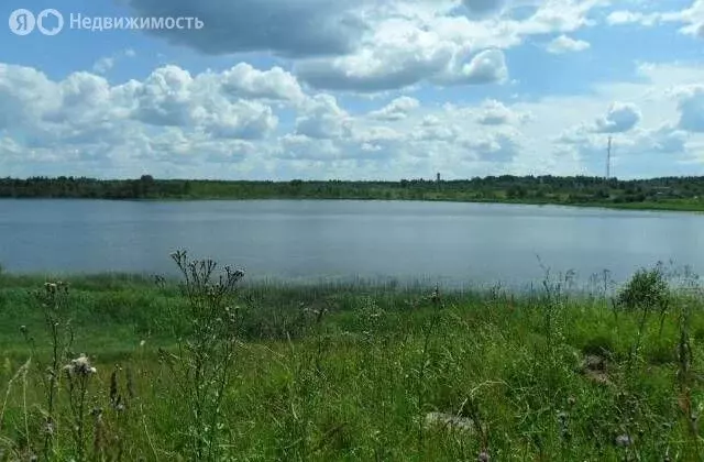 Участок в Валдайский район, Ивантеевское сельское поселение, деревня ... - Фото 2