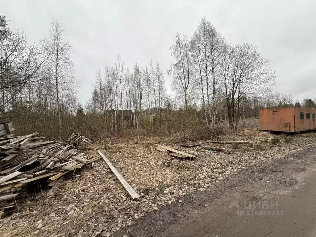 Участок в Ленинградская область, Выборгский район, пос. Первомайское ... - Фото 1