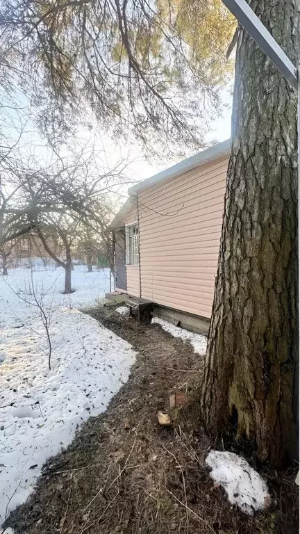 Участок в Московская область, Дедовск г. Истра муниципальный округ, ... - Фото 2