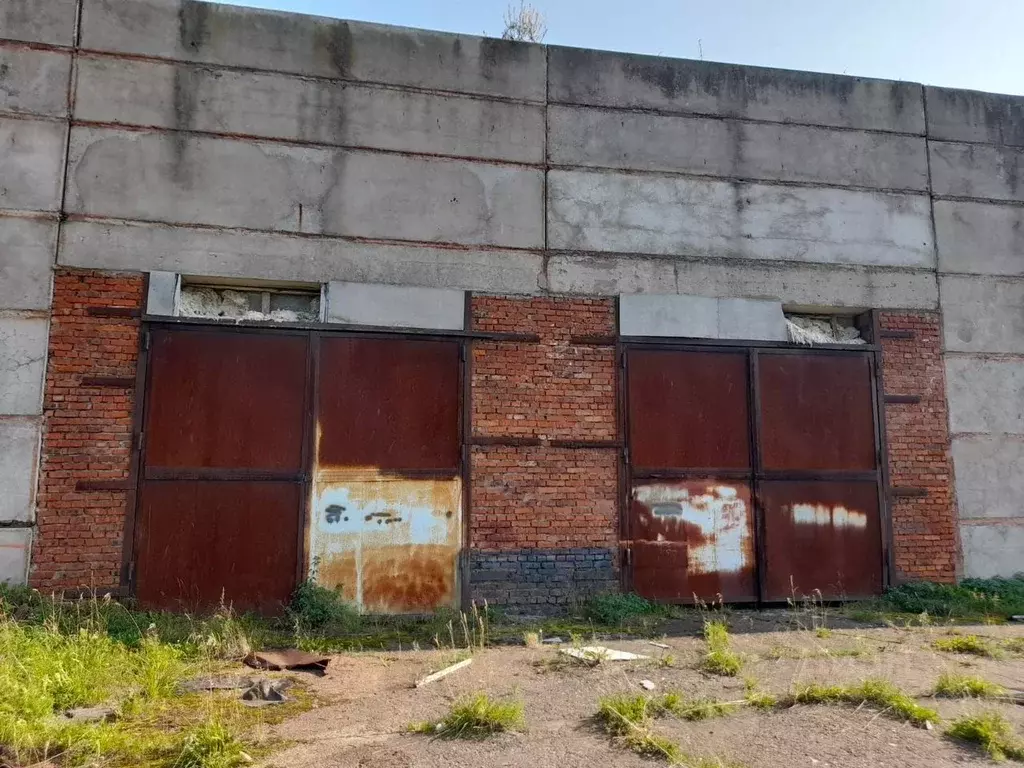 Склад в Вологодская область, Кадуйский муниципальный округ, д. Новое  ... - Фото 1