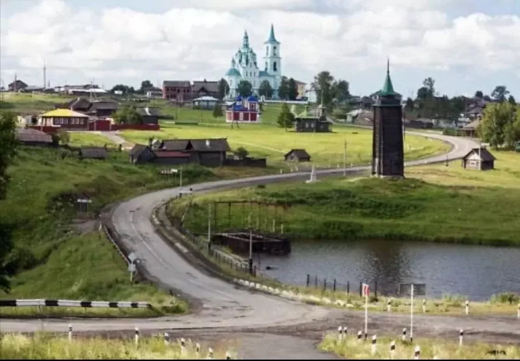 Участок в Свердловская область, Алапаевский район, с. Нижняя Синячиха, ... - Фото 0