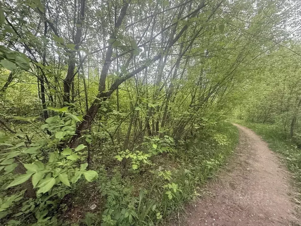 Участок в Московская область, Подольск городской округ, пос. Быково ... - Фото 1