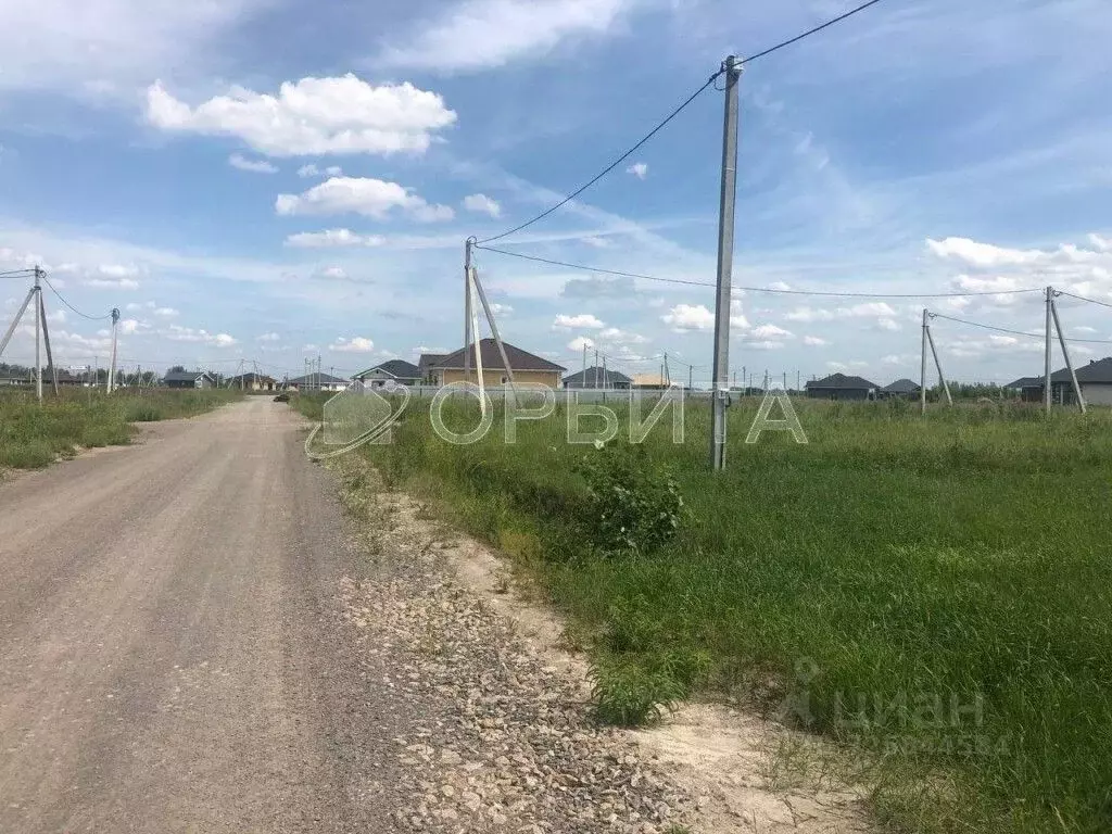 Участок в Тюменская область, Тюменский муниципальный округ, с. Чикча  ... - Фото 1