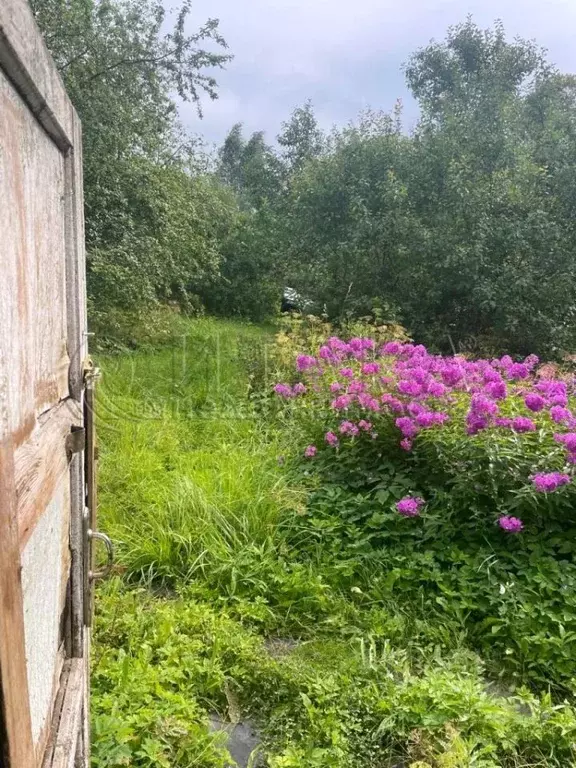 Дом в Ленинградская область, Гатчинский район, Оазис СНТ 74 (43 м) - Фото 1