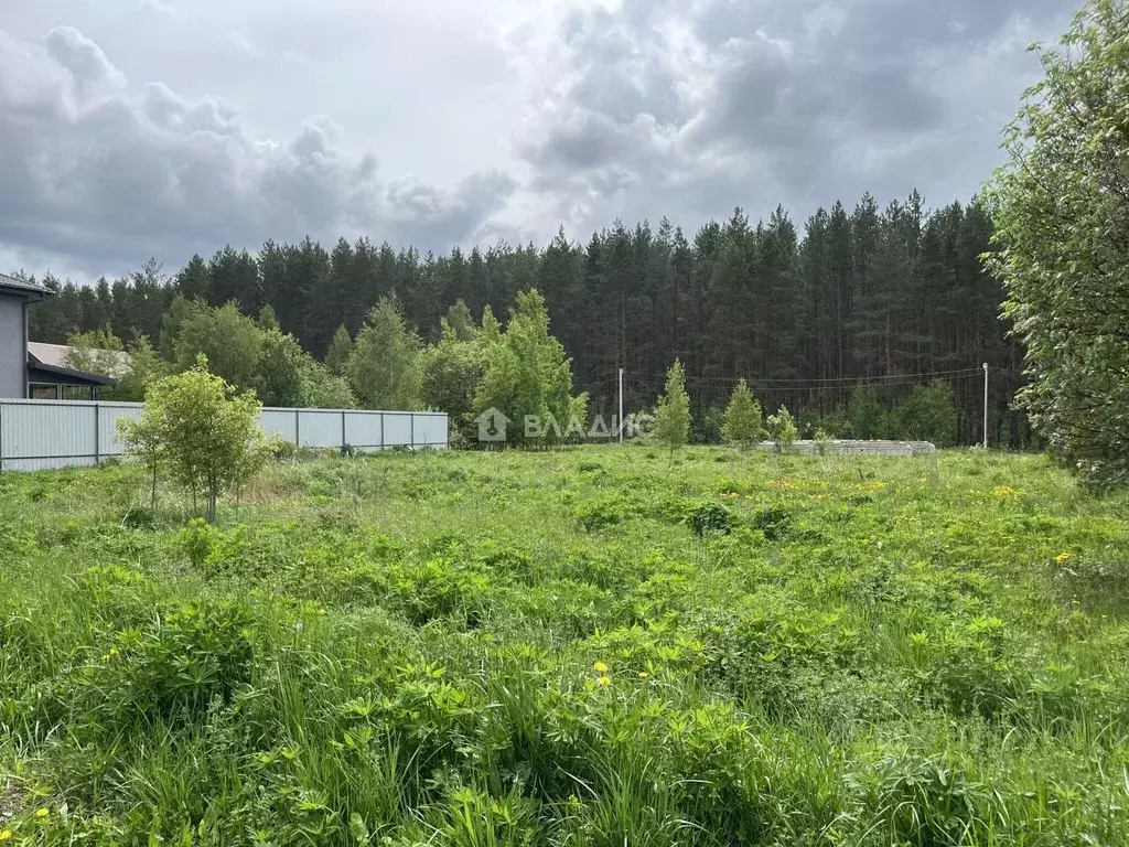 Участок в Нижегородская область, Арзамас Кирилловский мкр, ул. Дружбы, ... - Фото 1